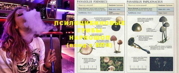 кристаллы Алексин