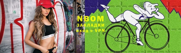стафф Алзамай