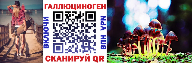Купить где  Удомля  Псилоцибиновые грибы мицелий 